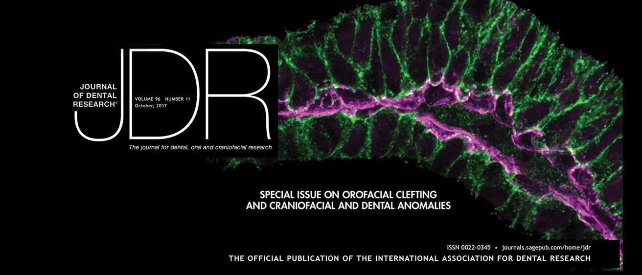 JDR Cover Image